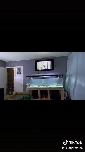 600 Liter Fish Tank Upgrade Journey: Setting Up Fluval FX6 Marine Tank