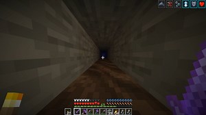 Dolphins Soul Speed Depth Strider Speed II =