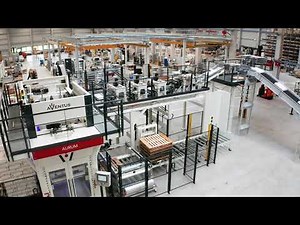 AURUM bag palletizer & TOPAS SF packing machine