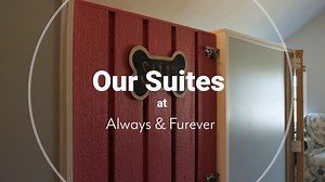 23K views · 712 reactions | Ever wonder what our suite life is about?...