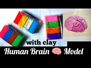 How to make Human Brain model 🧠 | School Project of Making Brain model using Clay Tutorial
