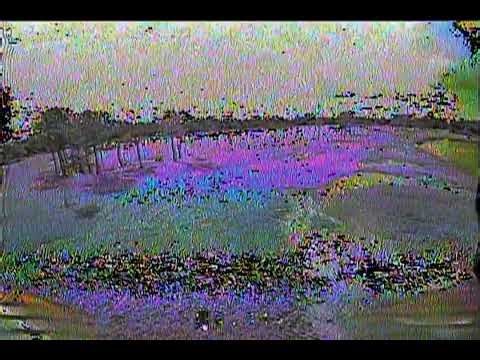 1.6 inch fpv drone ripping around the disc golf park