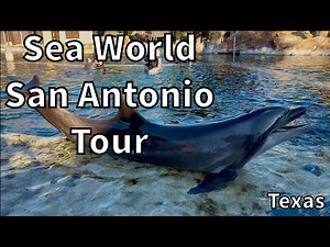 Tour of Sea World San Antonio - San Antonio, Texas - USA