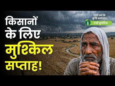 Unseasonal Rain & Hailstorm Wreck Crops | Iran War Impact, Market Trends | Agri Bulletin-News Potli