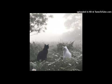 tempo + rekover jet + discxver type beat - same place last time?...