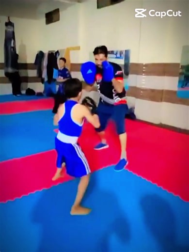 Exploring Voice Effects in Boxing Videos