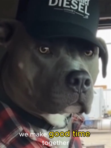 Every convoy has a leader. And someone following just to see where the mistake happens. Which one are you? #trucking #truckdriver #trucklife #truckerhumor #diesellife