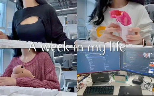 上岸啦，学了~半年~Python，我实现了~经济~自由~