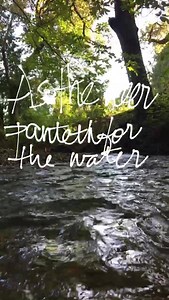 "As the deer pants for streams of water, so my soul pants for you, my God." Ps.42:1 🍃may the refreshing sound of God's love for you in quiet moments renew you today! Have wonderful Monday, sweet kindreds! ✨{fresh spring rain trickling in the morning sun} | Bonnie Gray