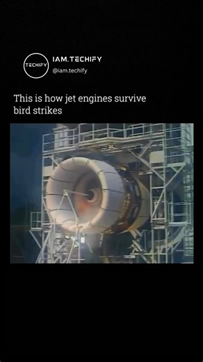 Techify on Instagram: "Ever wondered how jet engines are tested against bird strikes? 🐦💥 Behind the scenes, the process looks straight out of a movie. A massive jet engine is mounted on a test stand and pushed to full power. At peak speed, a high-pressure air cannon fires real birds—sometimes chickens, sometimes geese—directly into the spinning engine. The goal isn’t to avoid damage. It’s to make sure the engine either keeps running safely or shuts down without exploding or sending debris into