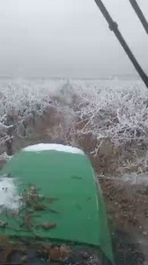 81K views · 495 reactions | Fortino is a tractor driver at Chateau...