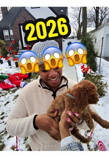 Toy Poodle Puppies: Care Tips and Registration Guide