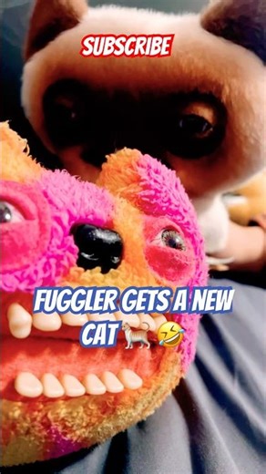 Fuggler Gets a New Cat #fugglers #cat #funny #plush
