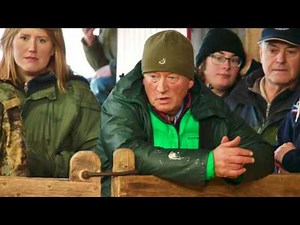 Lairg Hill North Country Cheviot Sheep Show