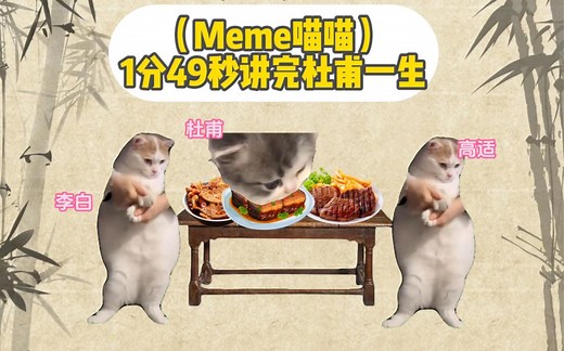 【Meme喵喵】用1分49秒演绎杜甫的一生！