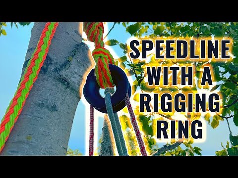 Tree Work: Rigging Ring in a Speed Line System!