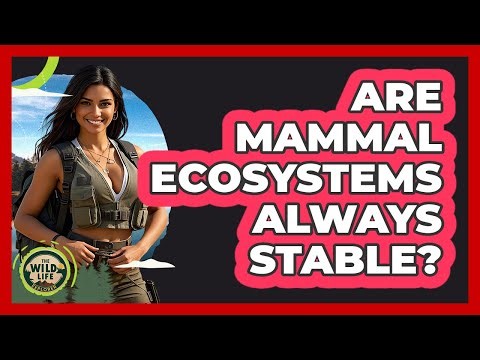 Are Mammal Ecosystems Always Stable?