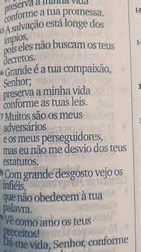 #deustemumapalavrapravoce #fe