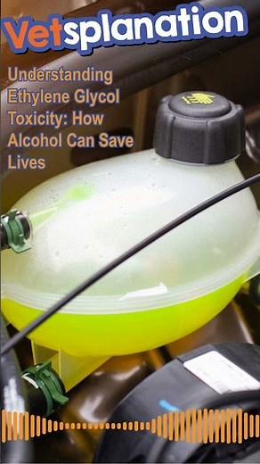 Understanding Ethylene Glycol Toxicity: How Alcohol Can Save Lives