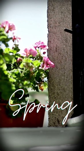 Happy Spring from Seven Oaks Commercial Doors & Hardware!