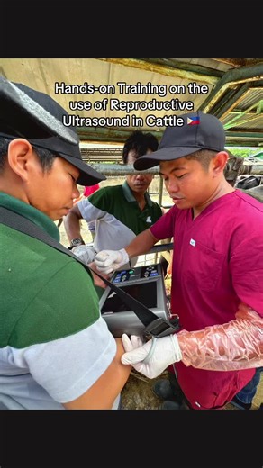 Bionova Precision Breeding_PH on TikTok