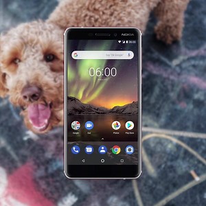 Is there any better reason to use Google Lens other than to look up dog breeds? We think not. 🐶 How have you used Google Lens on your #Nokia6? #AndroidOne | HMD
