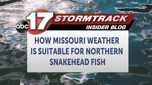 Northern snakeheads threaten Missouri waterways, biologists warn