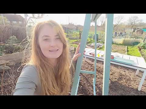 How to make a bean frame.