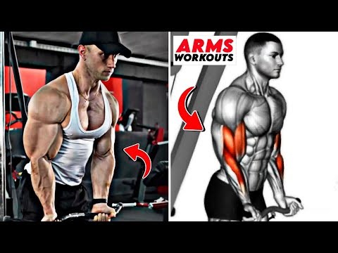 Build Huge Arms! Top 10 Biceps & Triceps Exercises for Serious Gains! 🔥