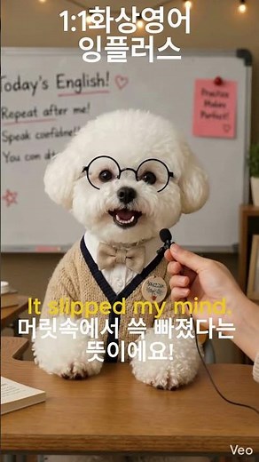 화상영어 잉플러스