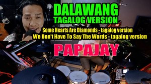 469K views · 9.5K reactions | Ang ganda ng dalawang tagalog version ni papajay 1. Some Hearts Are Diamonds (tagalog version) 2.We Don't Have To Say The Words (tagalog version) Tagalog version by Papajay | Rey Music Collection | Facebook