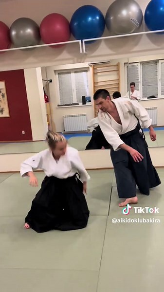 Discover Aikido: The Art of Japanese Martial Techniques