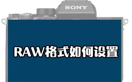 RAW格式怎么设置？