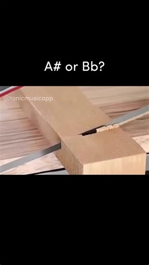 Tonic on Instagram: "Which is it??? 👀 Follow @tonicmusicapp for musical wisdom, memes and to stay motivated. OR download Tonic (link in bio) to actually practice 🫡"