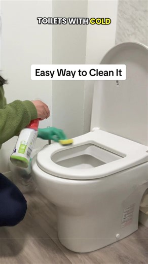 Steam Cleaning Your Home for a Healthier Environment