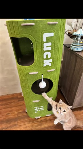 Create a Happy Space for Your Cat with This Felt House