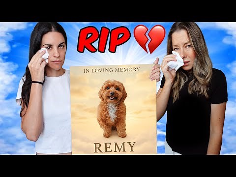 RIP REMY 💔