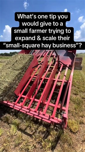 We aren’t new to farming. Just new to the small square business. Round bales just don’t pump out the money that squares could for us. All of our ground is quality horse hay and we feel like we are just wasting profit by round baling. #newholland #horsehay #squarebales #smallsquarebales #fescuegrass #alfalfa #orchardgrass #johndeere #hay #balinghay #hayseason2025 | Caleb Bryan