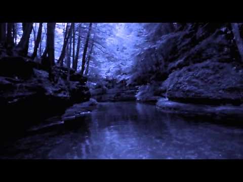 DARE TO RIDE THE GHOST BOAT!