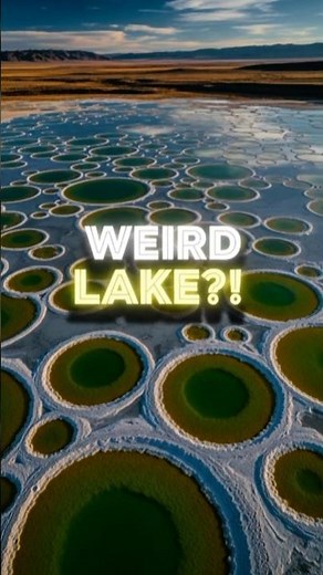 Spotted Lake: A Unique Natural Phenomenon in Osoyoos, Canada #funfacts #shorts