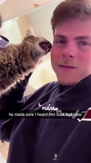 Why does my cat hate when men do THIS?