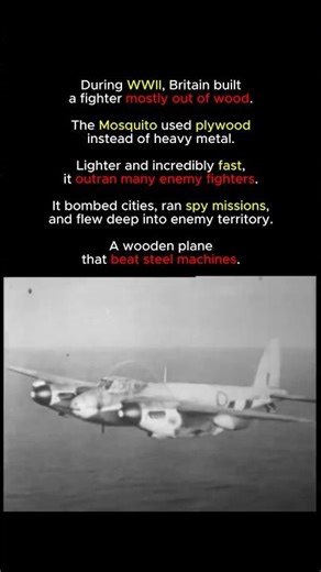 A Fighter Made of Wood? #shorts