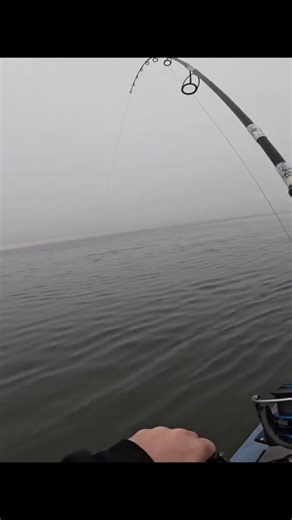 6.8K views · 51 reactions | The Slammer is a great fishing lure for striped bass and other game fish #fishing #fishtok #bigfish #bigbass #fishinglures | FISH and GAME | Facebook