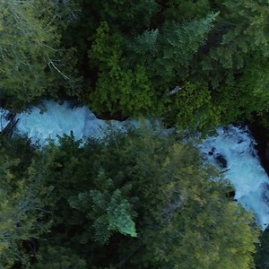 To heal from the past, we must learn from the past. Start your...