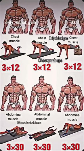 chest muscles shoulder absworkout at home #shoulder#chestmuscle#sixpack