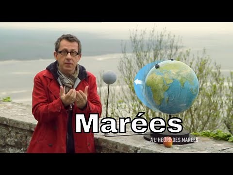 Qu'est-ce qui provoque les marées ? - C'est Pas Sorcier