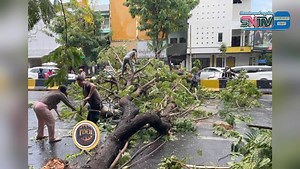 តើគួរបន្ទោសអ្នកណាគណៈមនុស្សប្រុសស្រីពីរនាក់រងរបួសនិងម៉ូតូរងការខូចខាតដោយសារតែជិះម៉ូតូតាមផ្លូវសុខៗត្រូវដើមឈើបាក់សង្កត់ពីលើ.... | KPS BreakingNews