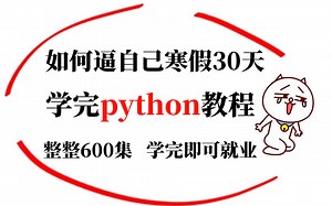 【请停止你的精神内耗！！】2023年如何逼自己寒假30天迅速学会Python，整整600集，学会即可就业，学不会退出IT界