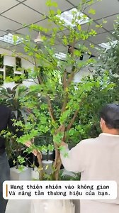 🌿Khi không gian có thạch nam, ngày giông bão cũng hóa dịu dàng mát xanh. Cây giả trang trí - Giống hệt Cây thật - 𝐆𝐢𝐚́ 𝐭𝐫𝐮̛̣𝐜 𝐭𝐢𝐞̂́𝐩 𝐭𝐮̛̀ 𝐧𝐡𝐚̀ 𝐬𝐚̉𝐧 𝐱𝐮𝐚̂́𝐭 ▪️Dòng cây sang trọng và sức lôi cuốn mạnh ▪️Nâng tầm không gian, góp phần gia tăng hiệu quả kinh doanh, hiệu suất làm việc tại văn phòng. ~~~~~~~ *Cây Thạch nam FULL SIZE: https://shoptrangtri.vn/tong-hop-nhung-mau-cay-thach-nam-nhat-ban-trang-tri-noi-that-dep-tu-nhien *Cây Oliu FULL SIZE: https://shoptrangtri.vn/tong-