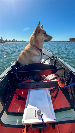 Bixpy Motors on Instagram: "Motorize your Oru kayak in minutes with the Bixpy K-1 Motor and Peel & Bond Adapter. ⚡🛶 This setup installs fast with no drilling — just stick it on, slide in the motor, and get quiet, reliable power that helps you stay out longer. Cruise farther, save your energy, and let the fish be the only thing that puts up a fight. 🎣🌊 Want the exact setup? 💬 Comment “Peel & Bond” and we’ll send you the link. 👉 Learn more at Bixpy.com #Bixpy #PowerBeyondLimits #MotorizedKaya